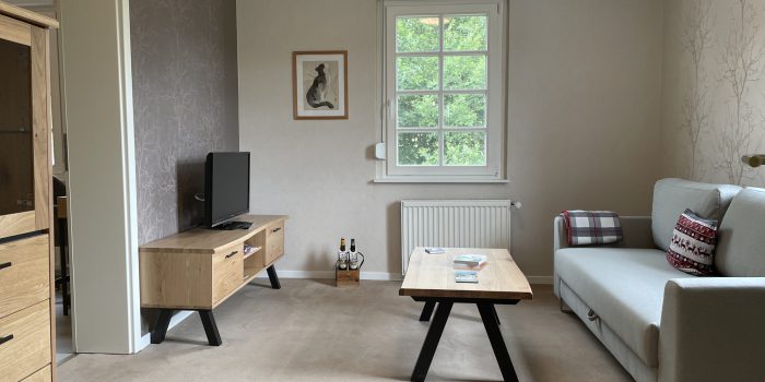 Wohnzimmer gemütliches Wohnzimmer mit ausziehbarer Schlafcouch