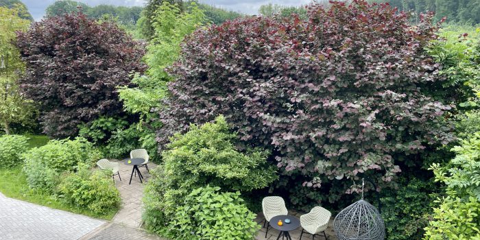IMG_8606 Schöne Terrasse mit zwei gemütlichen Stühlen und einer Hängeschaukel